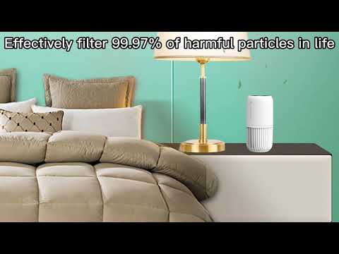 Мини преносим пречиствател за въздух за кола, Fresh Trip, Филтър HEPA H11